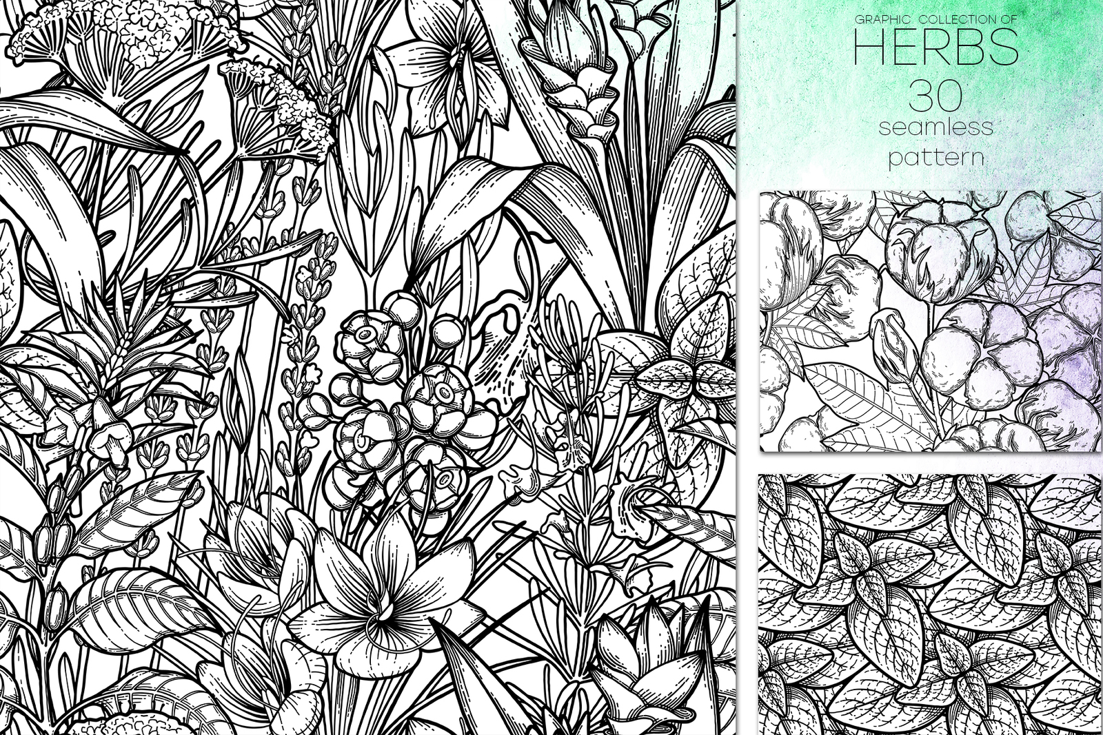 Graphic Herbs Graphic Herbs