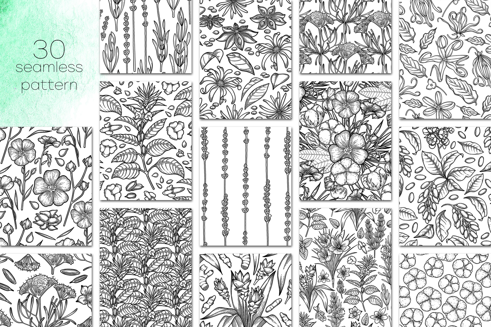Graphic Herbs Graphic Herbs