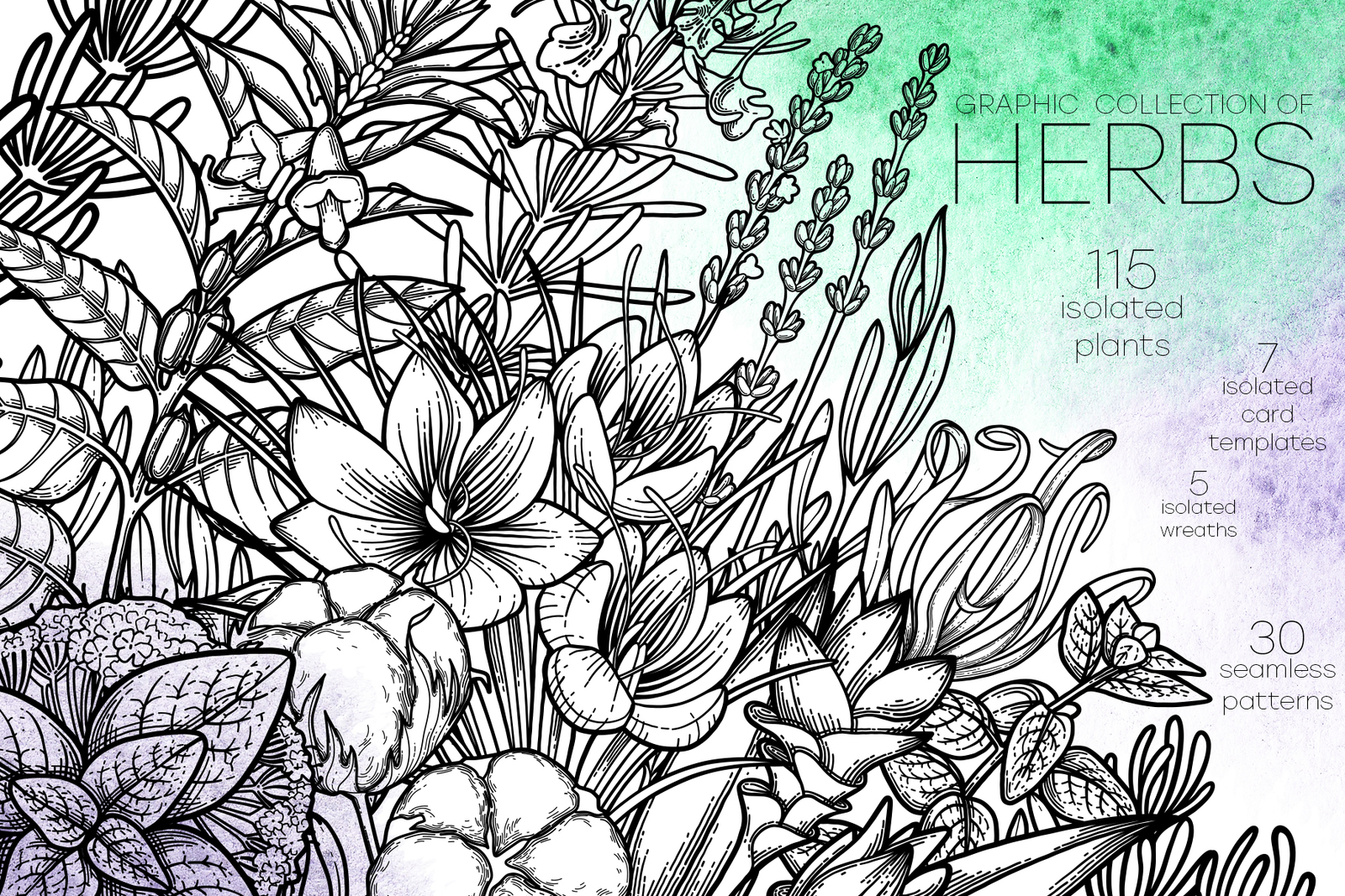 Graphic Herbs Graphic Herbs