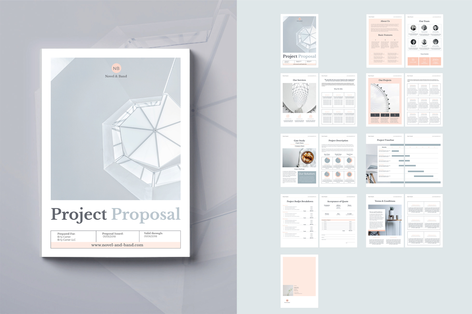Project Proposal - Novel & Band Project Proposal - Novel & Band