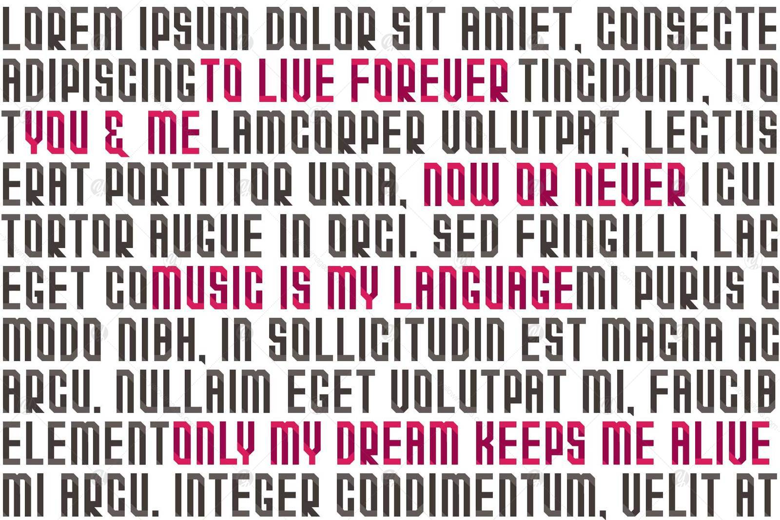 Quarta Font Family