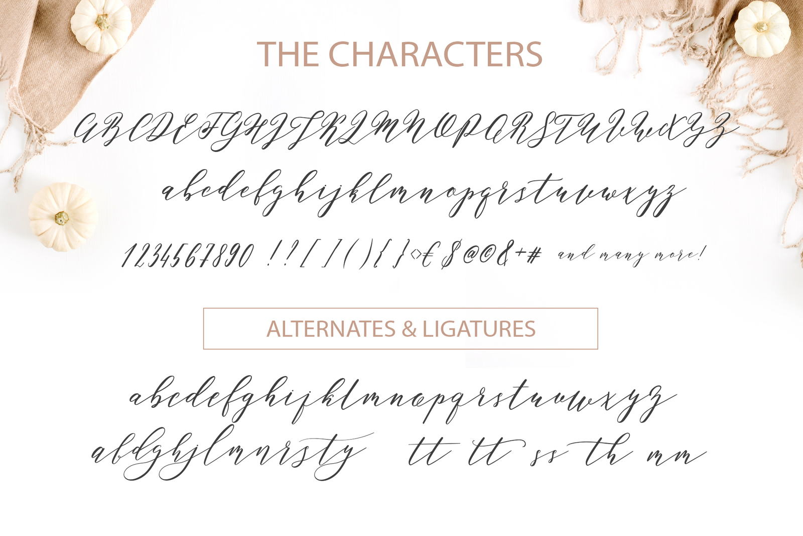 Perfect Charm - Elegant Font Script