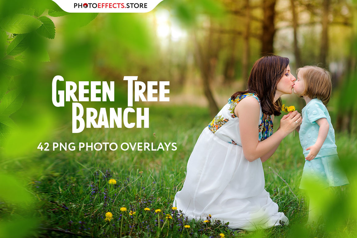 42 Green Tree Branch Photo Overlays 42 Green Tree Branch Photo Overlays