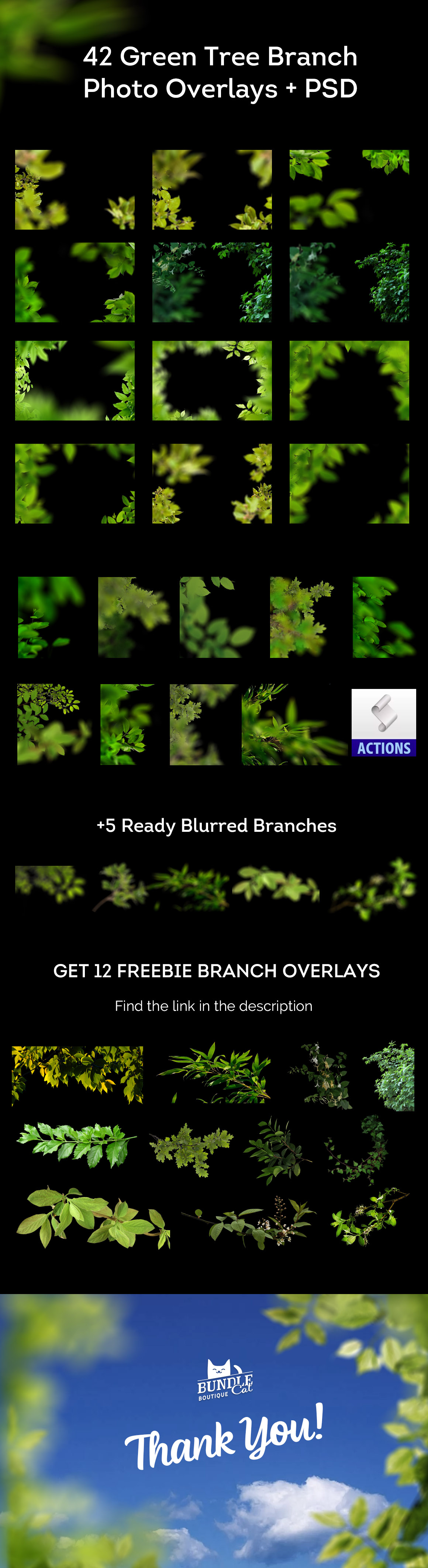 42 Green Tree Branch Photo Overlays 42 Green Tree Branch Photo Overlays