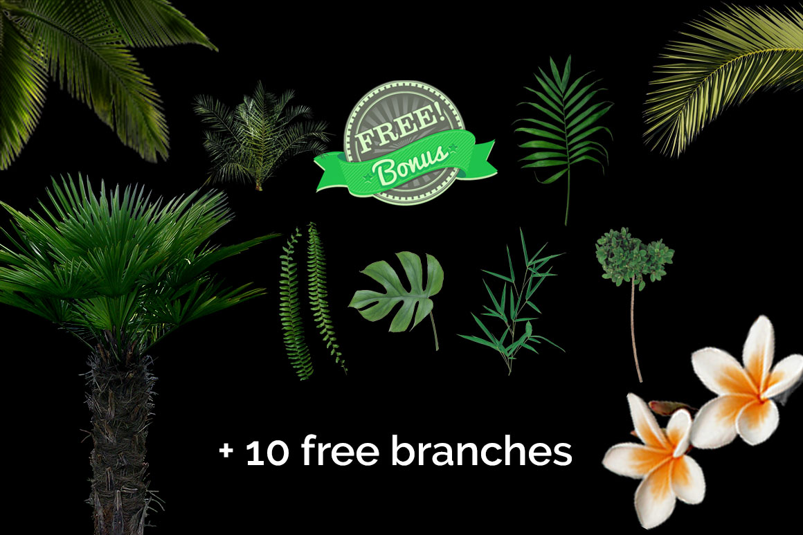 51 Tropic Tree Branch Photo overlays