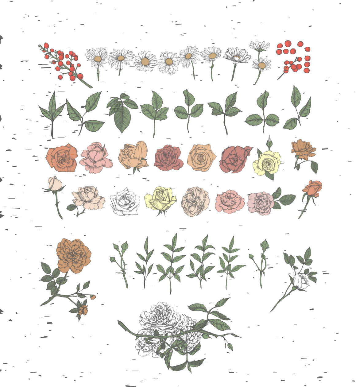 Floral vintage collection Floral vintage collection