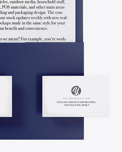 Matte Folder with Papers, Business Cards and Pen Mockup