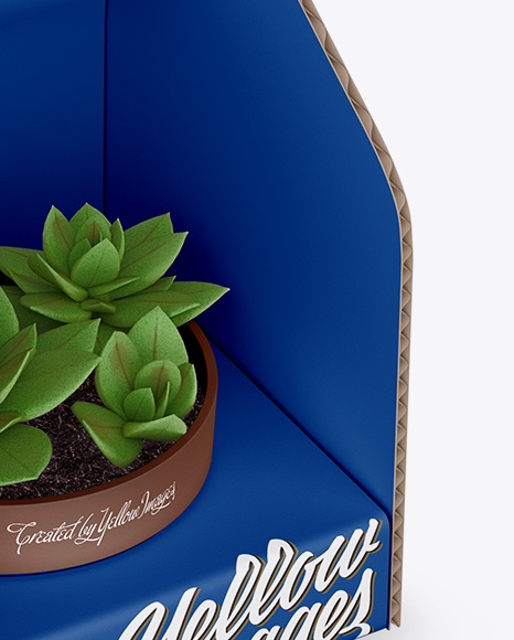 Box with Plant Mockup - Half Side View