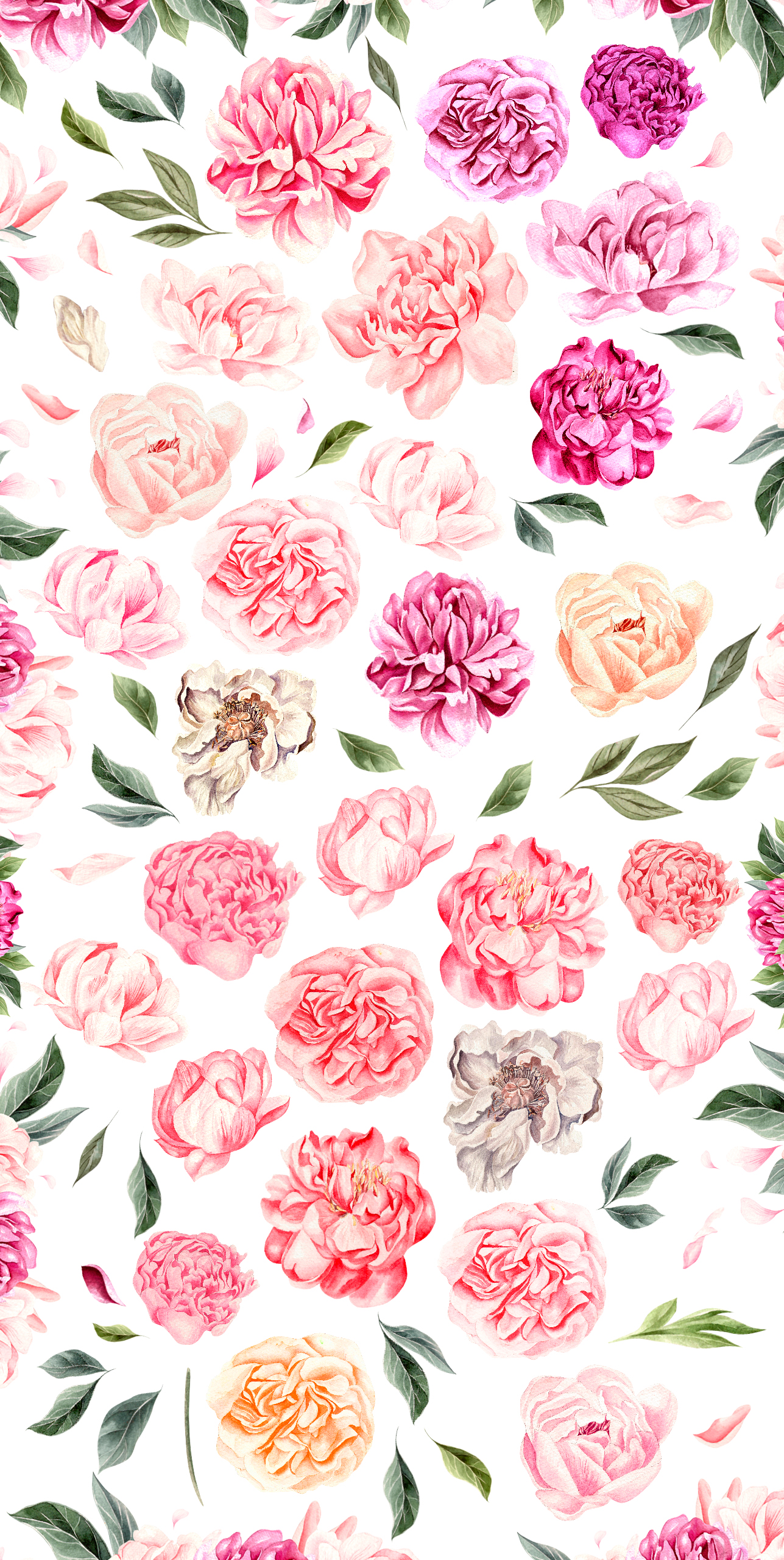 Hand Drawn Watercolor Blooming Peony Hand Drawn Watercolor Blooming Peony