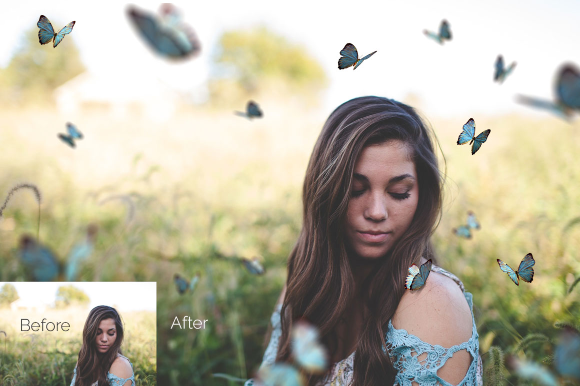 29 Butterflies Photo Overlays