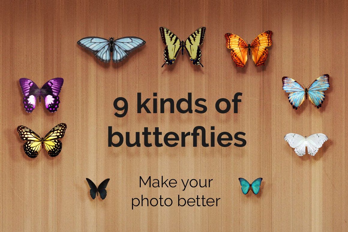 29 Butterflies Photo Overlays