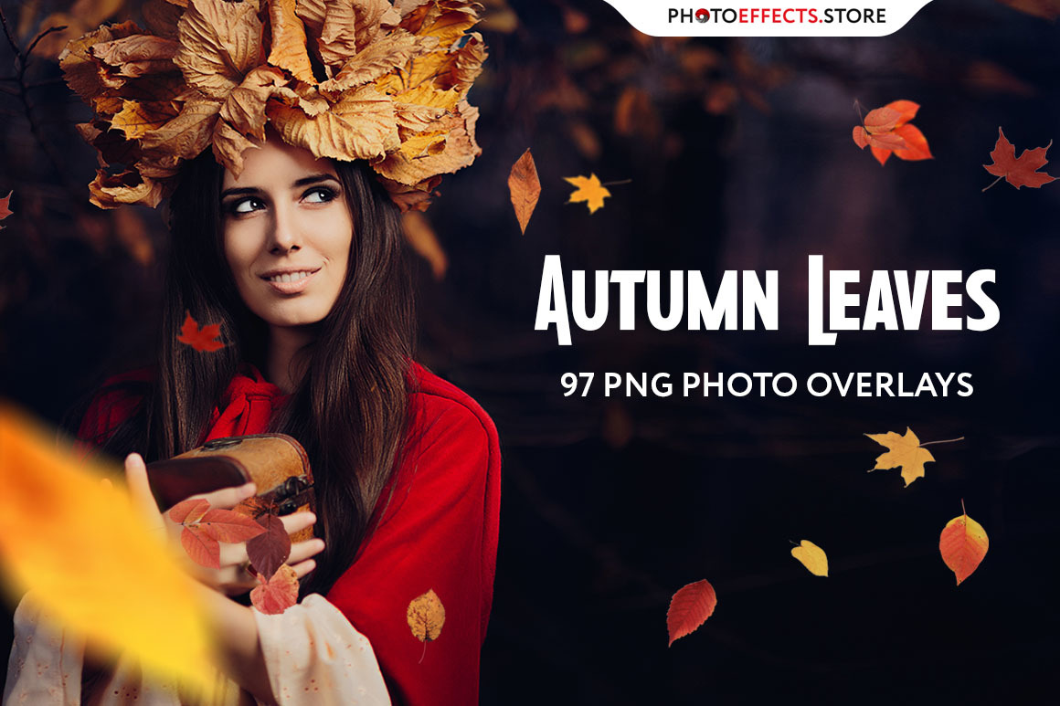 97 Autumn Leaves Photo Overlays 97 Autumn Leaves Photo Overlays