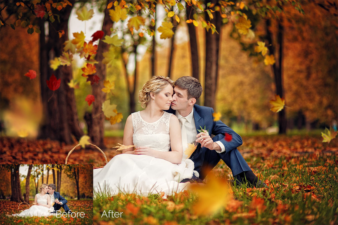 97 Autumn Leaves Photo Overlays