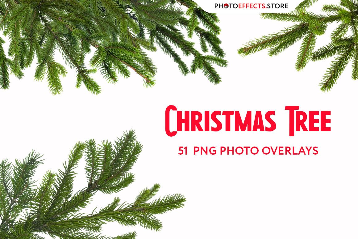 51 Christmas Tree Brunch Overlays