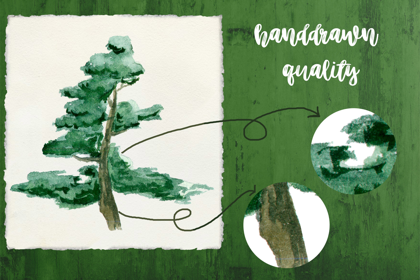 Watercolor Trees Clipart