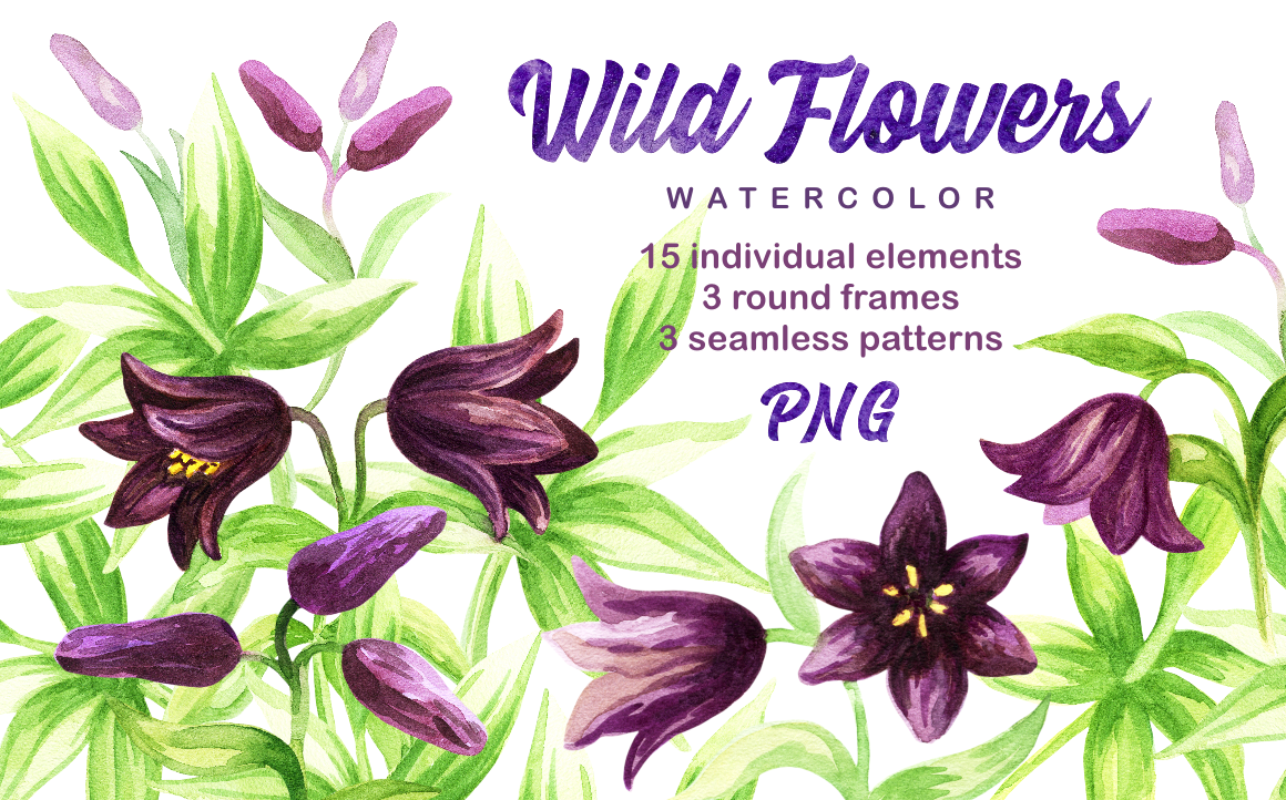 Wild flowers. Watercolor set. Wild flowers. Watercolor set.