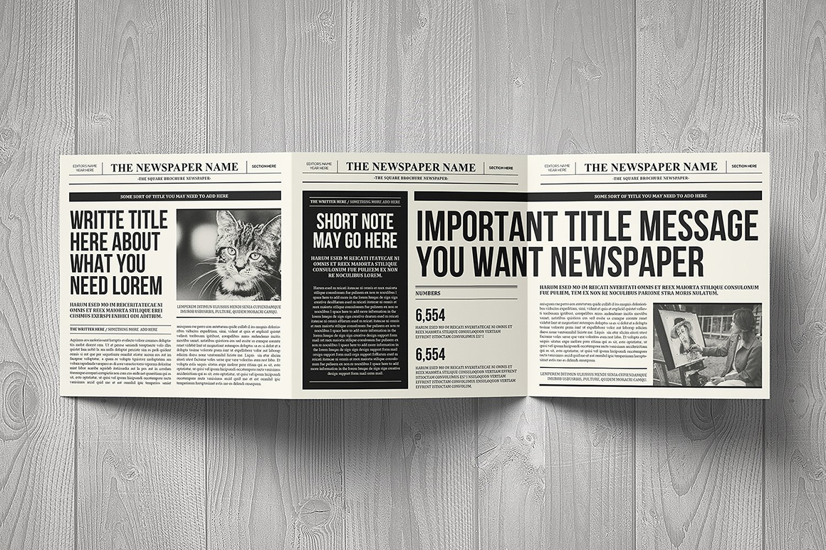 Newspaper Square Brochure Trifold