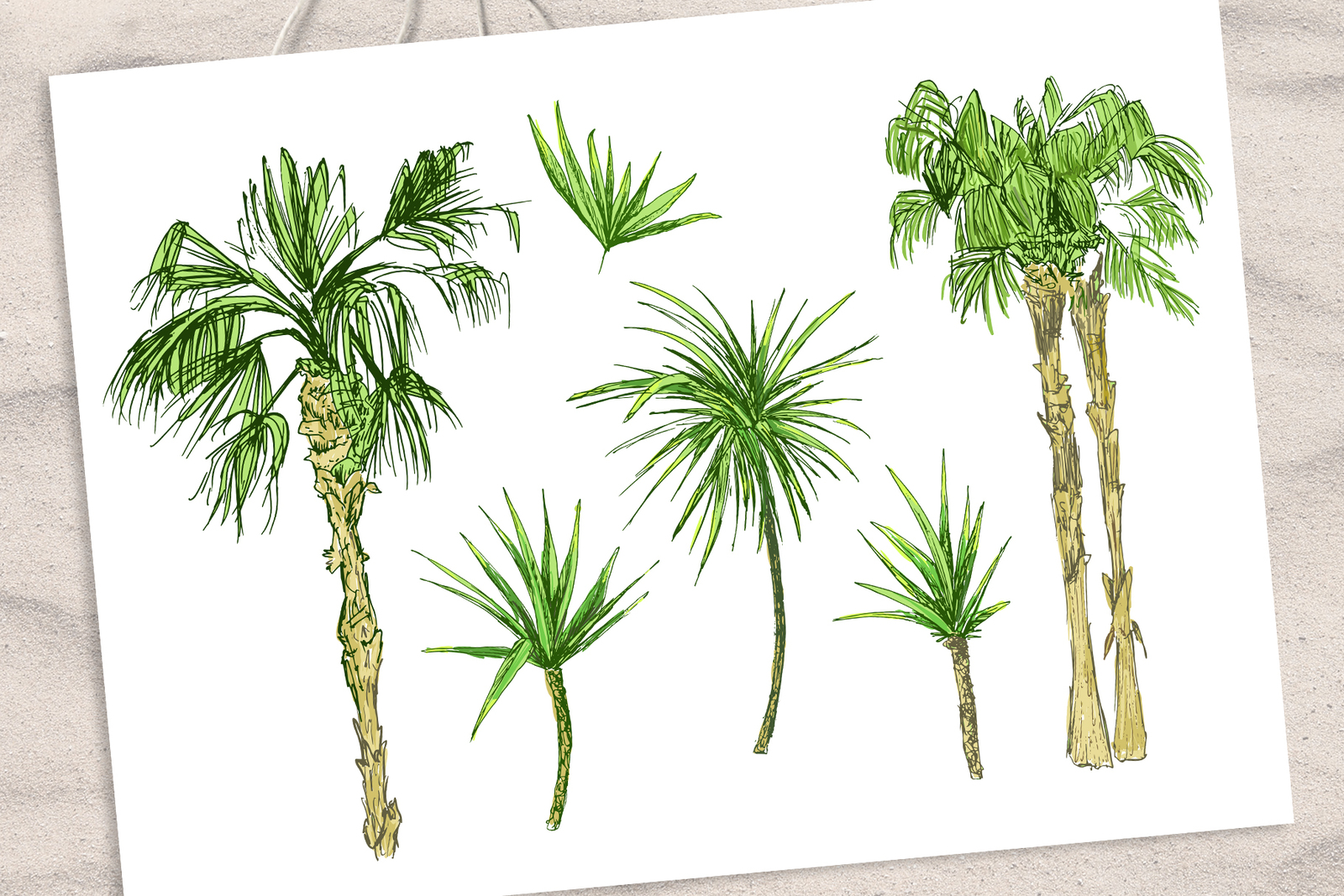 Tropicana - Palm Trees &amp; Leaves Set