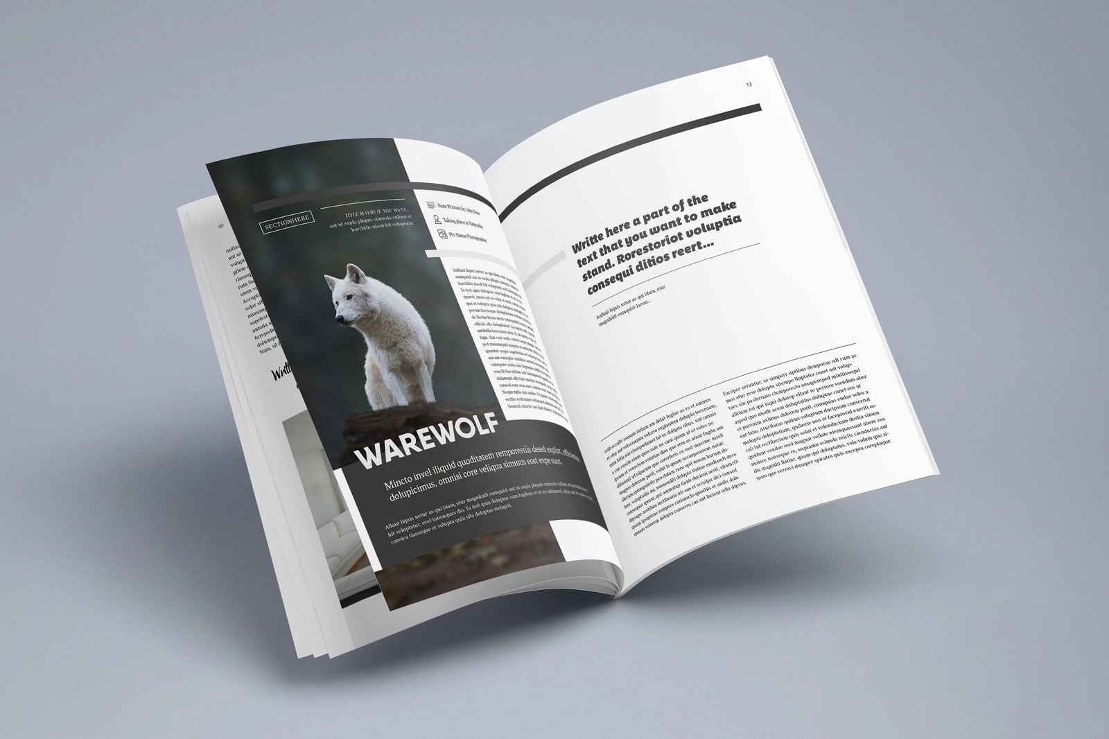 Multipurpose Magazine 7 Indesign Template