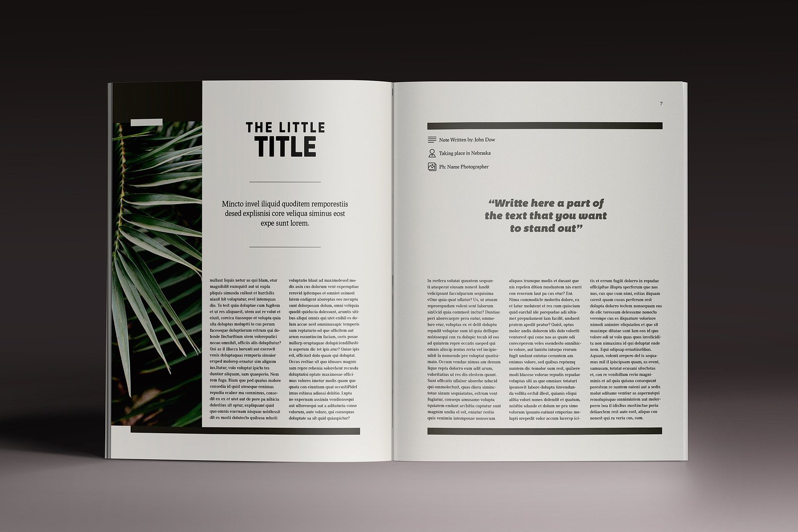 Multipurpose Magazine 7 Indesign Template