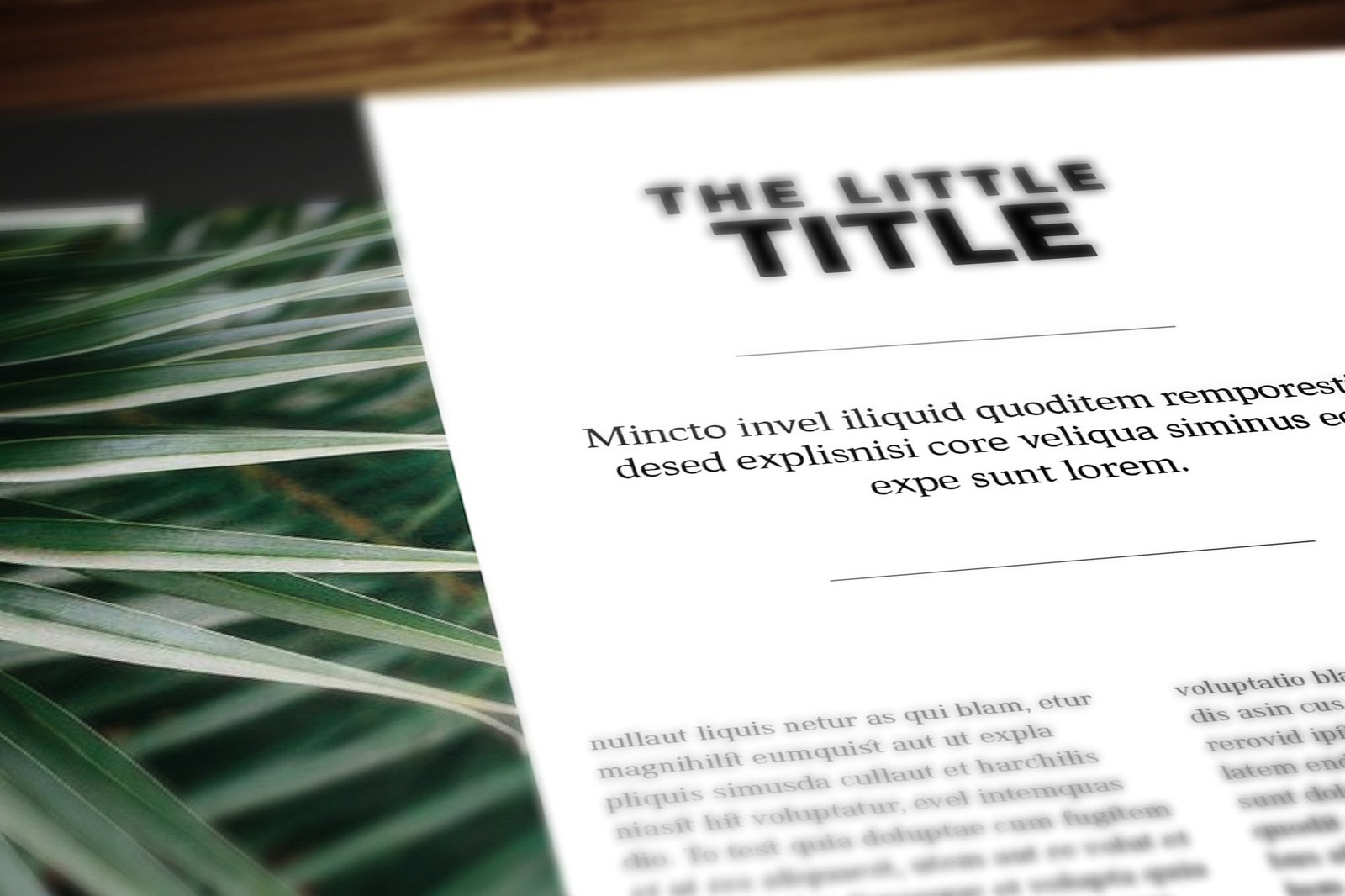 Multipurpose Magazine 7 Indesign Template