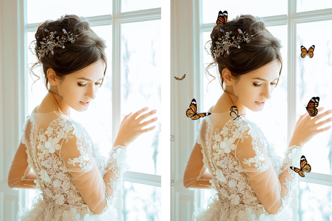 112 Butterfly Photo Overlays 2.0 112 Butterfly Photo Overlays 2.0