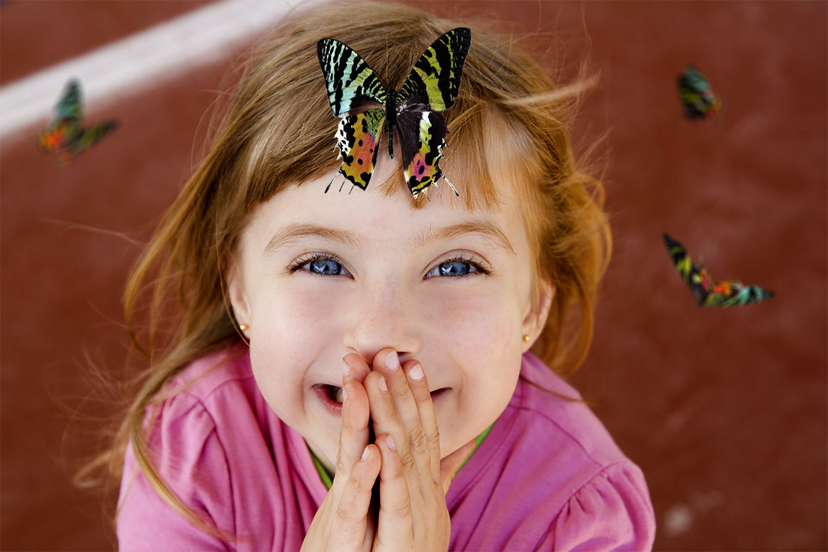 112 Butterfly Photo Overlays 2.0 112 Butterfly Photo Overlays 2.0