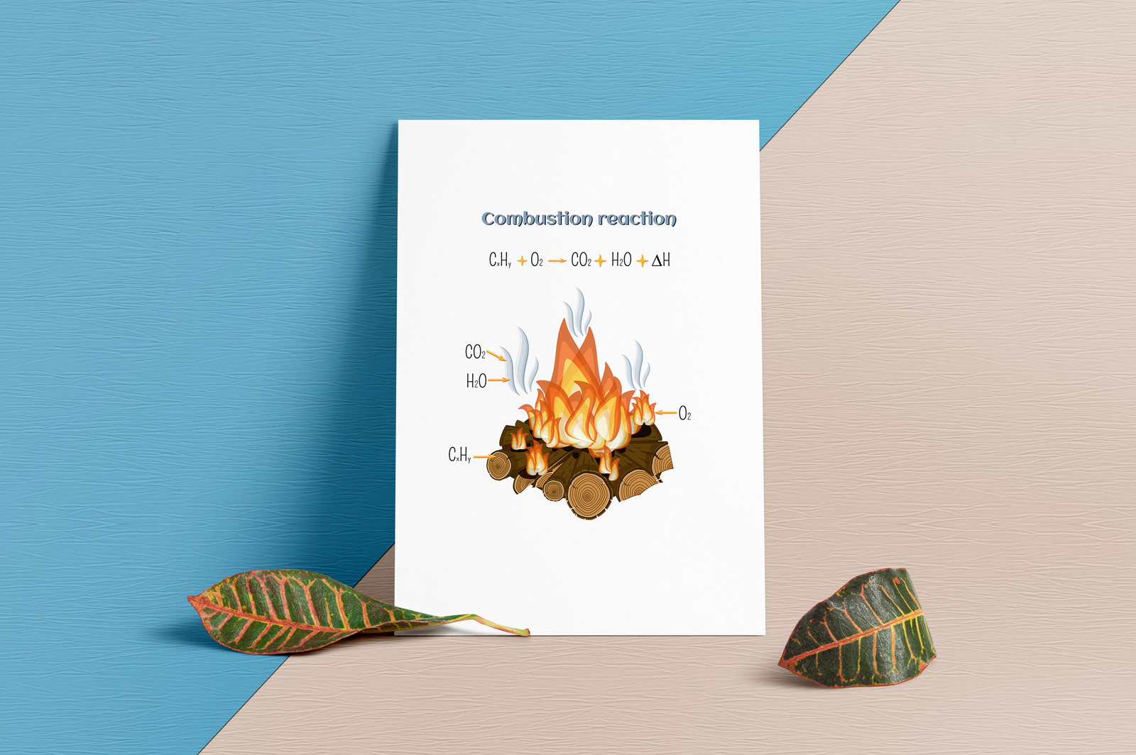 Chemical reactions infographics