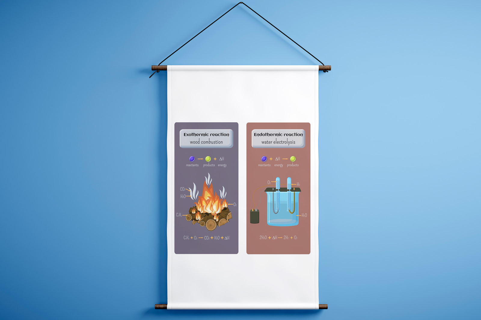 Chemical reactions infographics