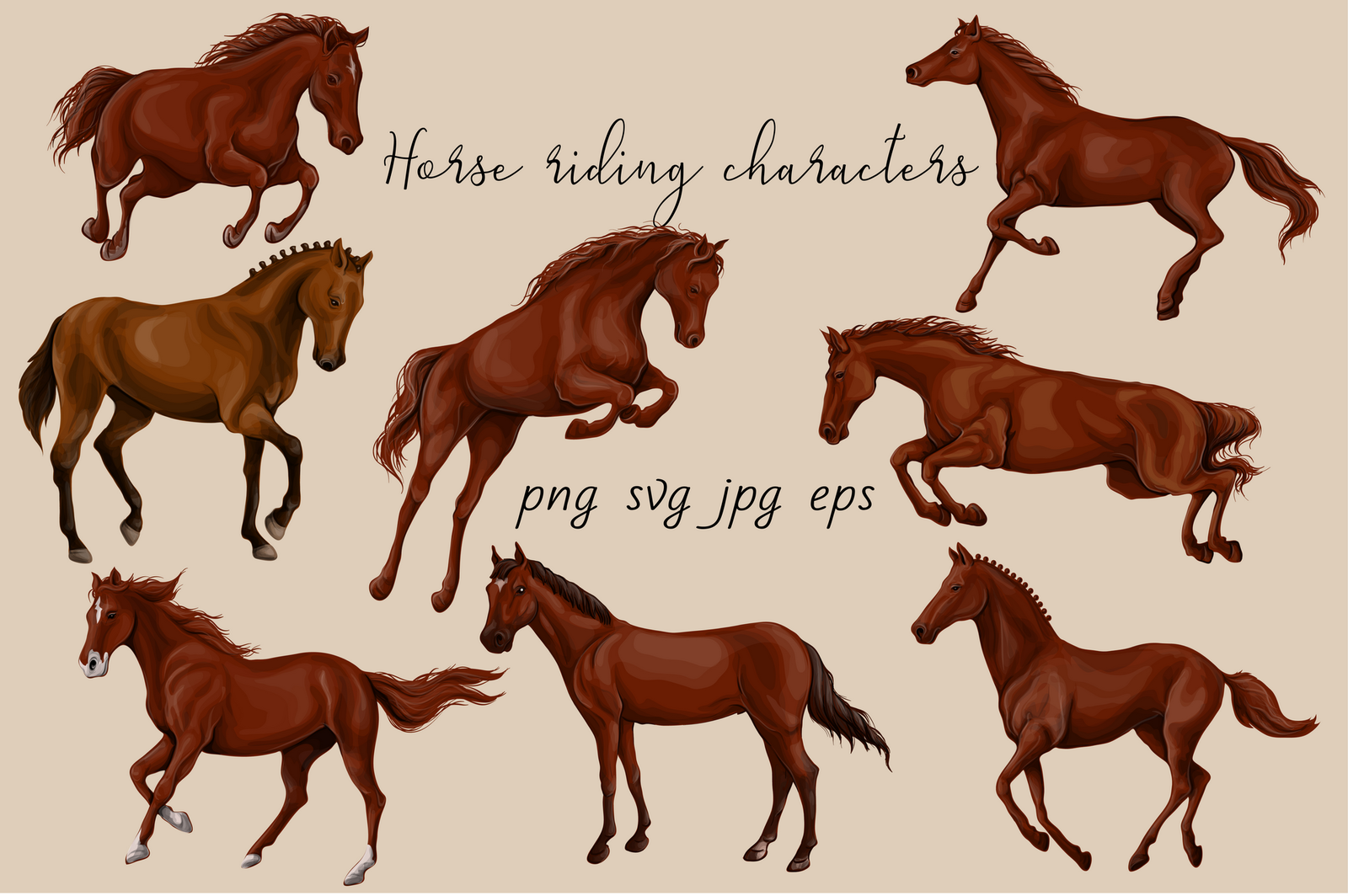 Horse Riding Horse Riding