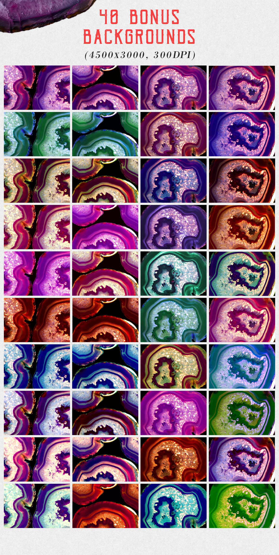 Agate Collection Agate Collection
