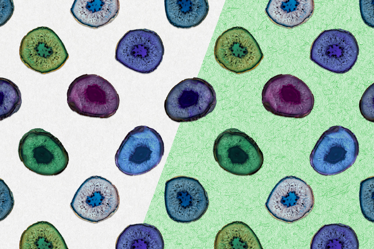 Agate Collection Agate Collection