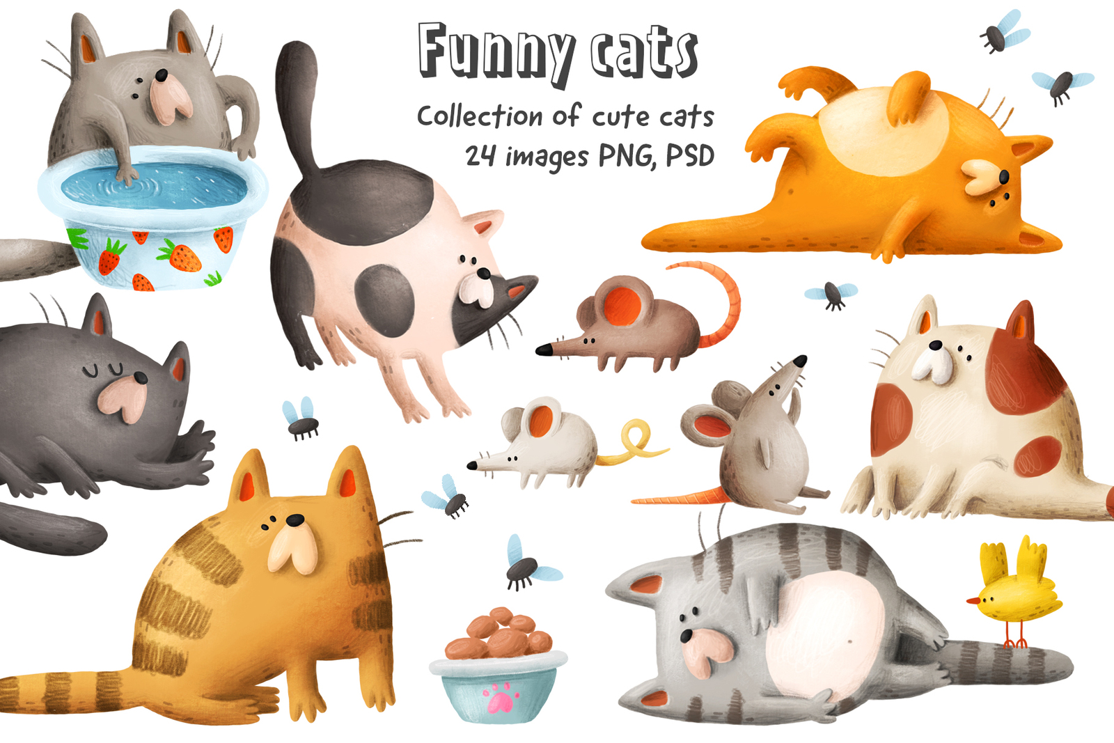 Funny cats collection