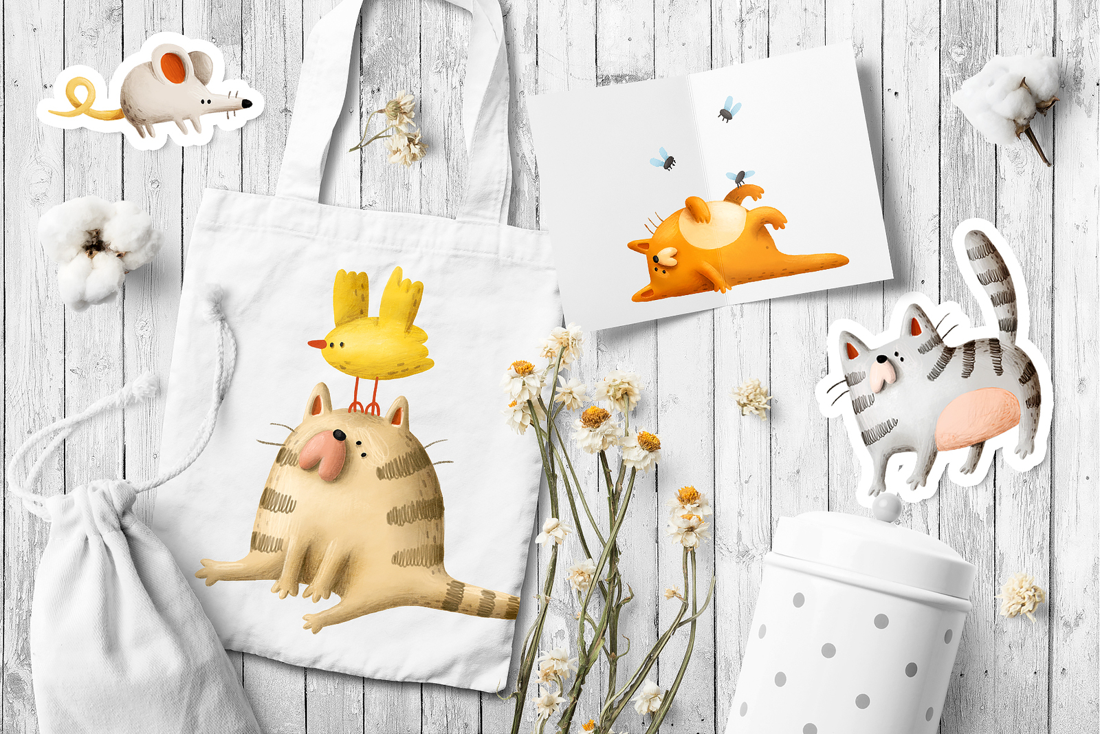Funny cats collection Funny cats collection