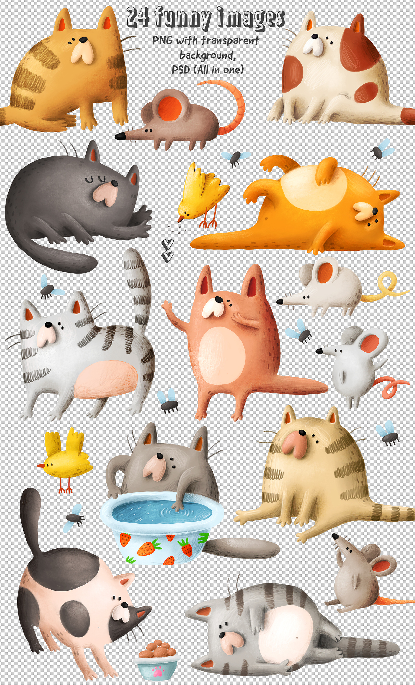 Funny cats collection Funny cats collection