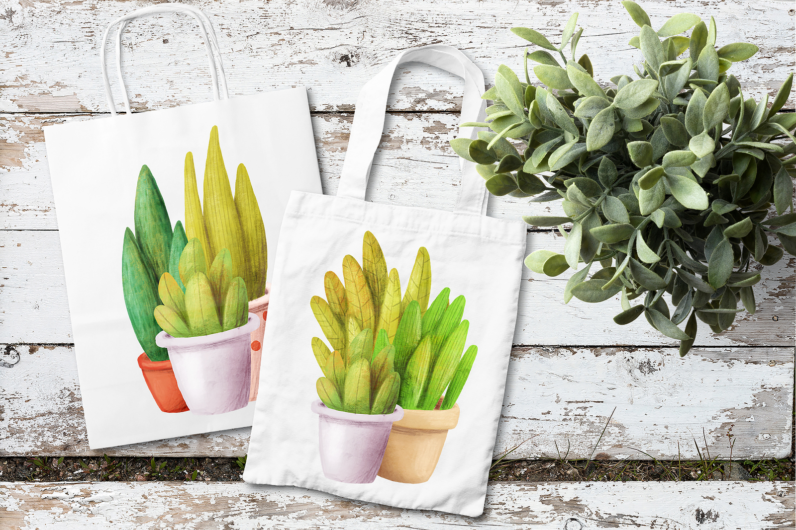 Set of house plants Set of house plants