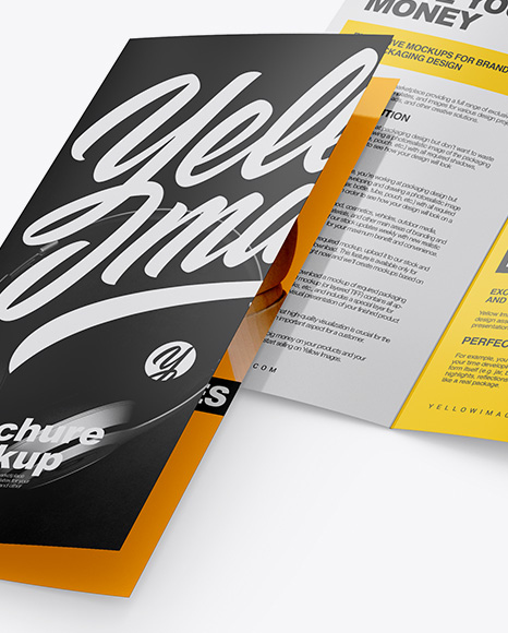 Two Glossy Brochures Mockup