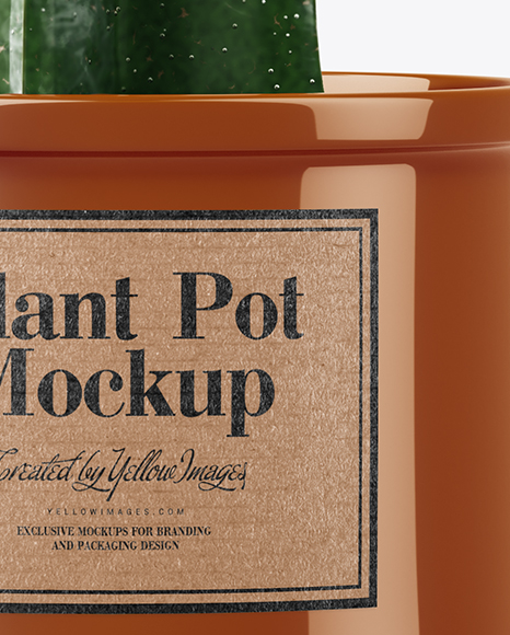 Cactus in Glossy Pot Mockup