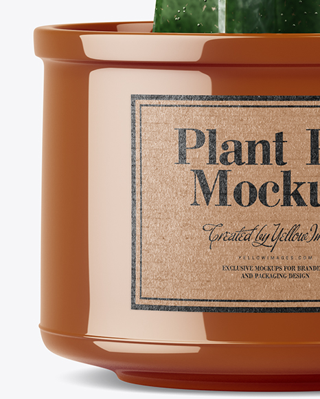 Cactus in Glossy Pot Mockup