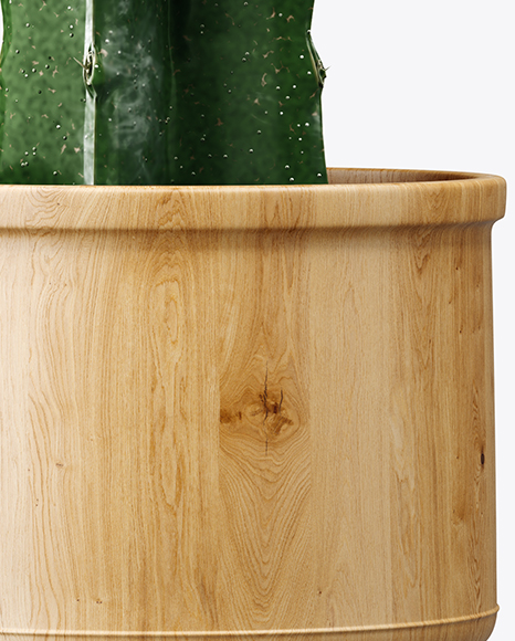 Cactus in Glossy Pot Mockup