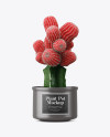 Cactus in Matte Pot Mockup