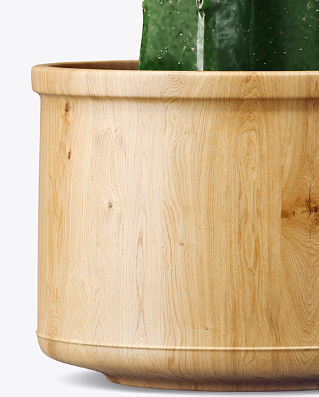 Cactus in Matte Pot Mockup