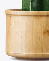 Cactus in Matte Pot Mockup