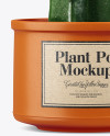 Cactus in Ceramic Pot Mockup