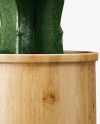 Cactus in Ceramic Pot Mockup