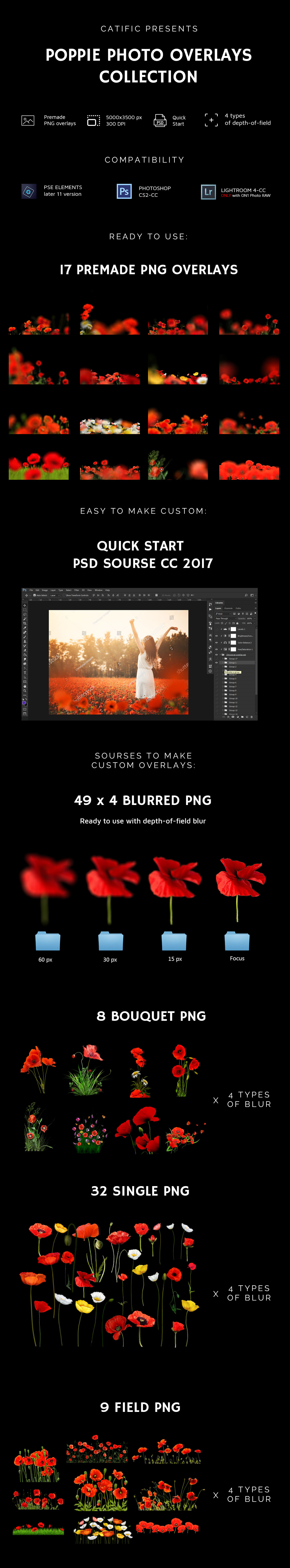 66+ Poppie Flowers Photo Overlays 66+ Poppie Flowers Photo Overlays