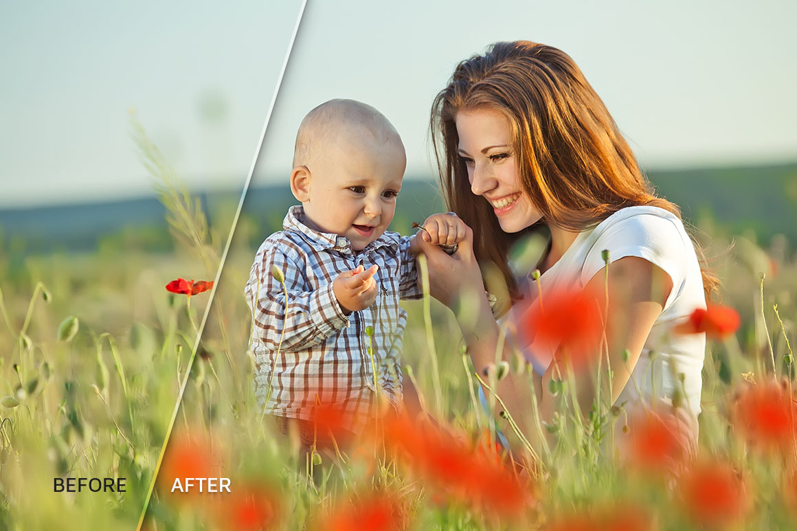 66+ Poppie Flowers Photo Overlays 66+ Poppie Flowers Photo Overlays