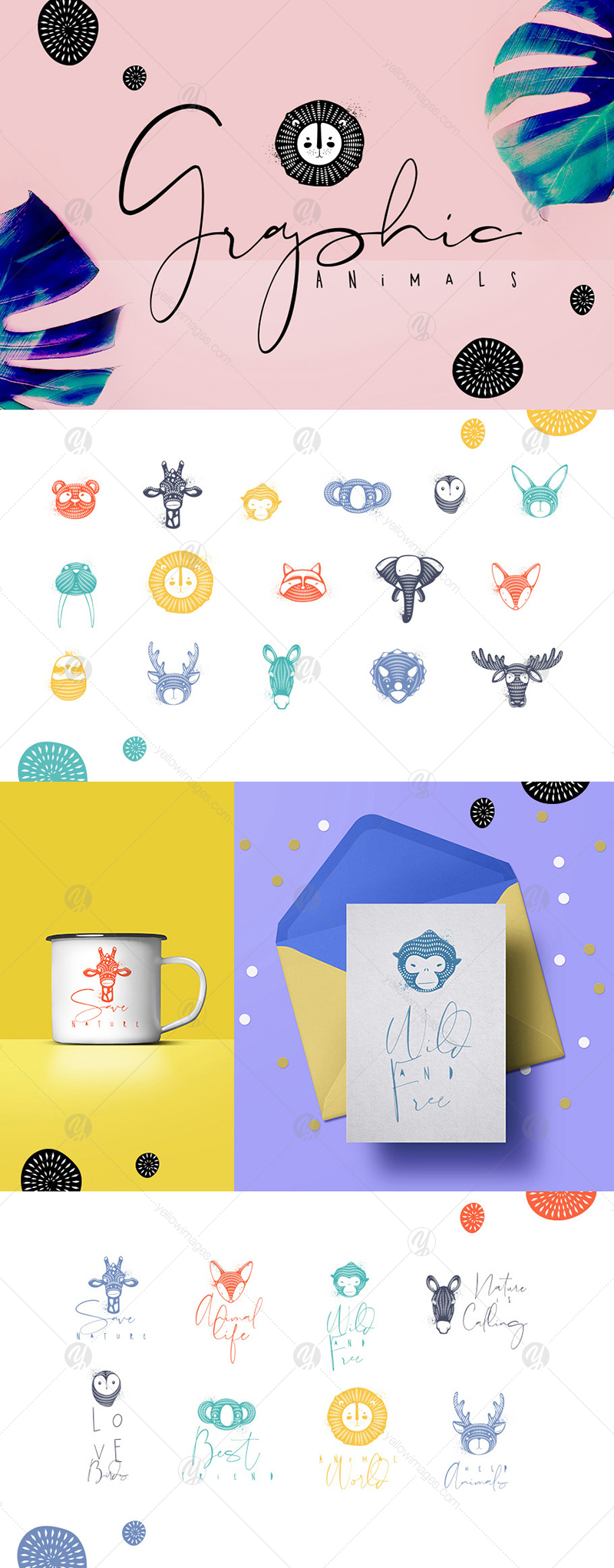 Graphic Animals Graphic Animals