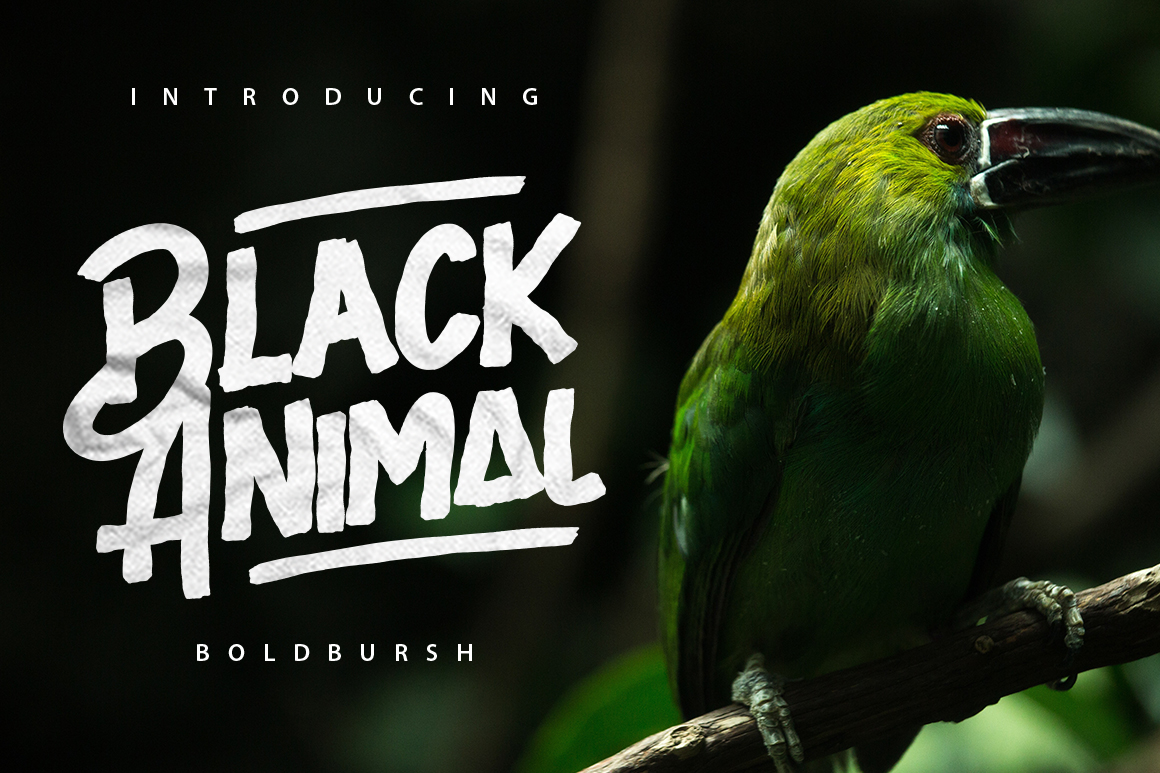 Black Animal Black Animal