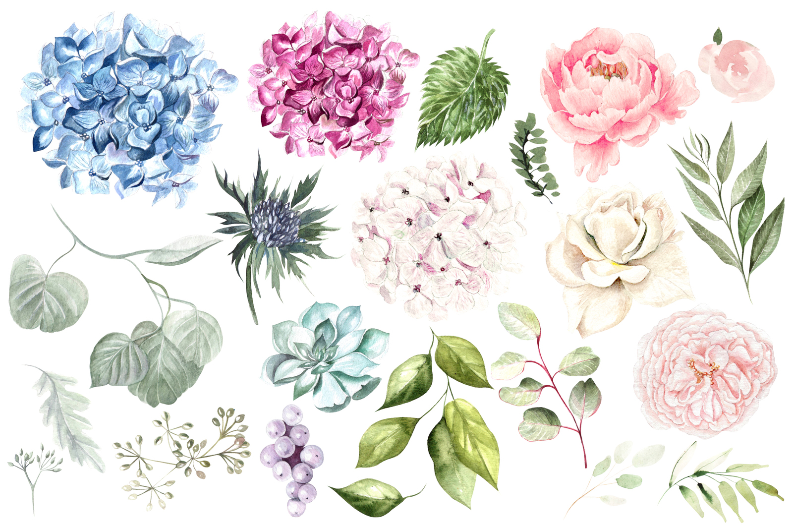 Hand Drawn Watercolor Flowers&Wreath Hand Drawn Watercolor Flowers&Wreath